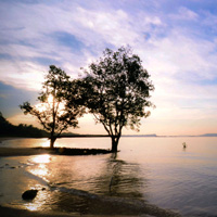 短信连环呼叫软件