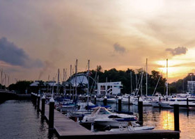 打电话打爆免费