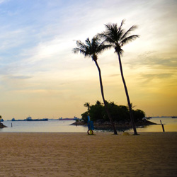 打电话打爆免费