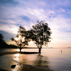 免费电话轰炸器